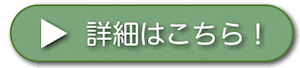 詳細リンクボタン