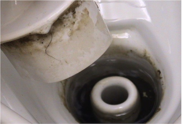 トイレ清掃イメージ