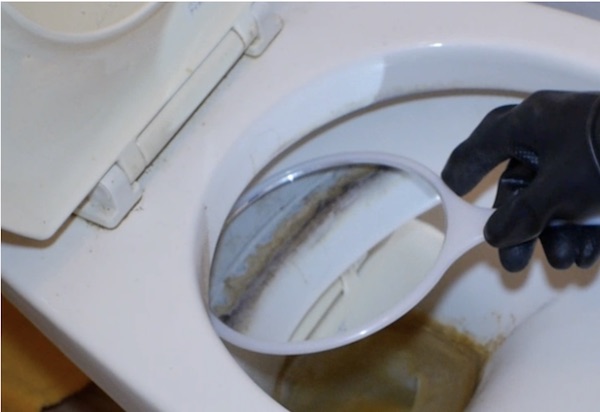 トイレ清掃のイメージ3