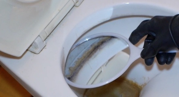 トイレ清掃