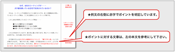 テキストイメージ